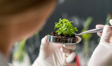 ביוסטימולנטים לצמחים – לתת לטבע דחיפה! 