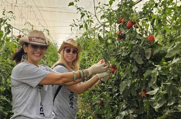 ישראל חזקה ביחד: ICL מתגייסת לסייע בזמנים מאתגרים