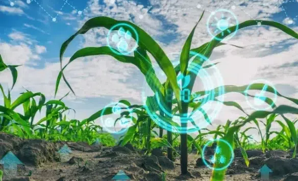 פתרונות דיגיטליים בחקלאות והשפעתם החיובית על אספקת המזון העולמית