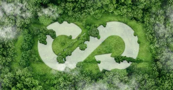 מפסולת לצמיחה: <sup>®</sup>Puraloop – דשן זרחן פורץ דרך מבית ICL המשלב מיחזור עם מקורות טבעיים